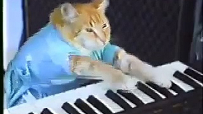 Guile's Theme Goes with Everything (Keyboard Cat)