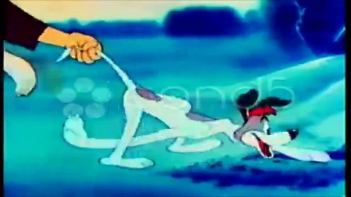 Cartoon of dog finding rabbit hole. Stock Footage