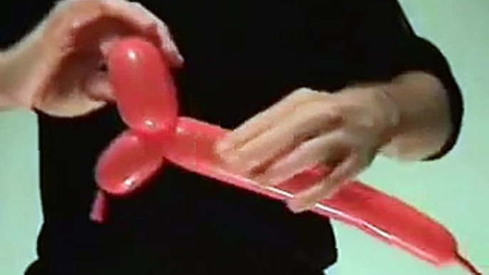 The Balloon Dog