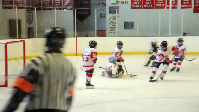 8 year old SCAHA Mite B Hockey Goalie Saves 2012 13