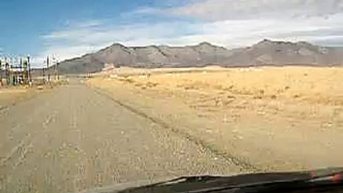 Fifty pronghorn near Winnemucca, Nevada