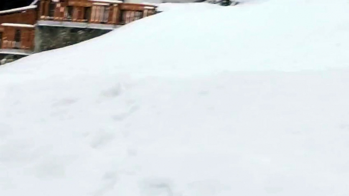 Dog stops two skiers to get some very important assistance