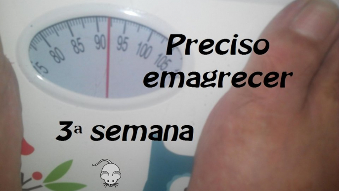 Preciso emagrecer - 3ª semana