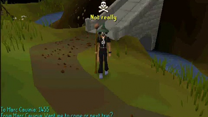 Stevevai17 91 Runecrafting