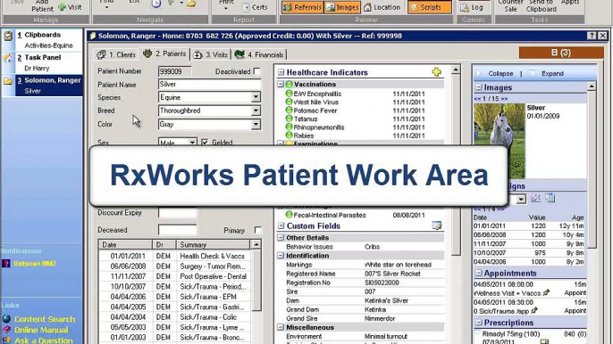 The Patient Work Area - Overview (RxWorks Learning)
