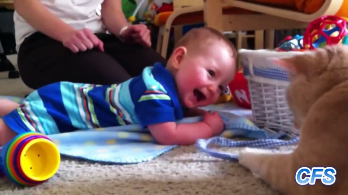 Babies Laughing at Cats Compilation