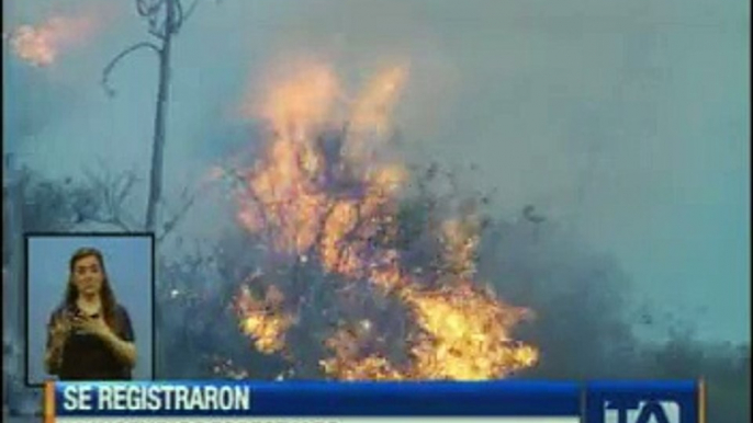 Se registraron 12 incendios forestales