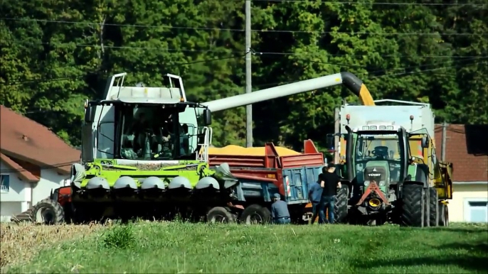 Moisson du Maïs 2014 - Claas Lexion 640 ! ETA DIDELOT