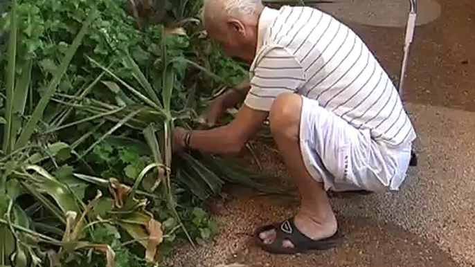 "הזיקנה" סרט גמר כיתה י"ב