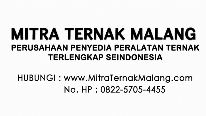 No.HP: 0822-5705-4455 (Telkomsel) | Alamat Mesin Penetas Telur Di Jakarta
