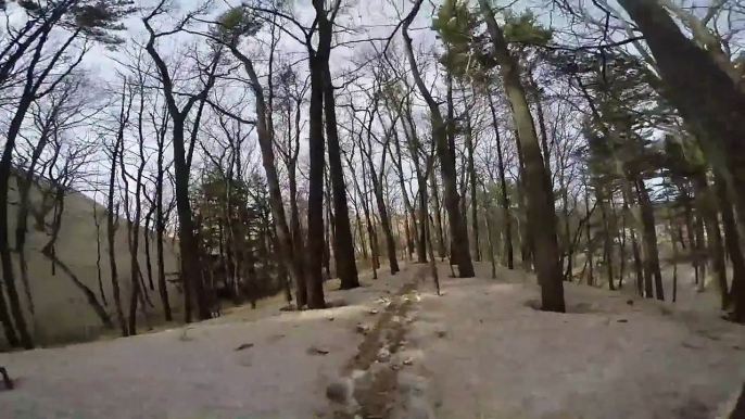 Dog Day Afternoon - Hiking Silver Lake Sand Dunes