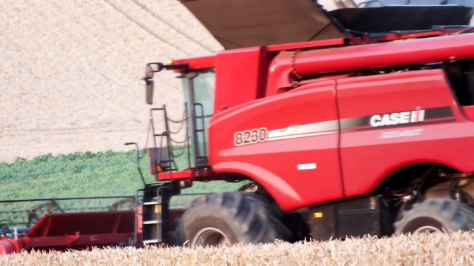 moisson en coteaux avec une Case IH 8230 modifiée