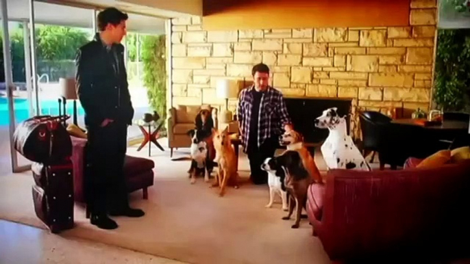 Bud Light - Dog Sitter - 2011 Super Bowl Commercial Ad - Hillarious Dog Sitting Long Version