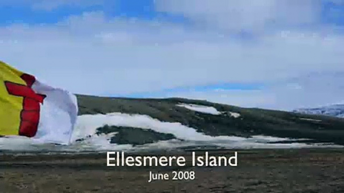 Loups arctiques, Arctic wolves, Ellesmere Island