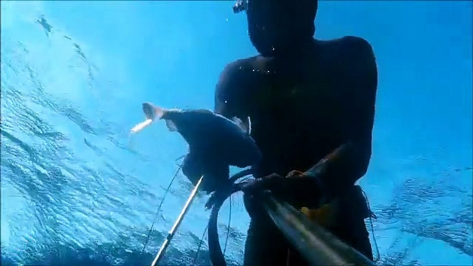 Spearfishing   black and white