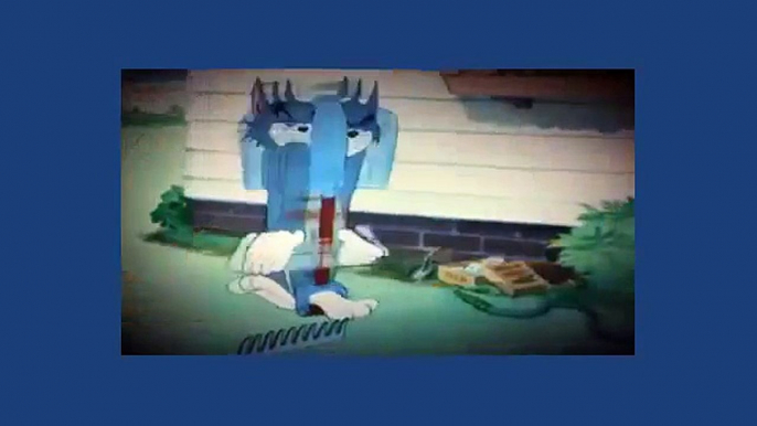 Phim hoạt hình Tom and Jerry - Tom and Jerry cartoon - Tập phim Love That Pup