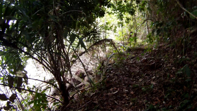 Busca e Retirada de metais ferrosos e não ferrosos das areias, Ubatuba, SP, Brasil,  2015, Parte (46)