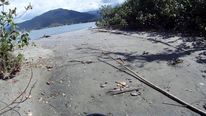 Busca e Retirada de metais ferrosos e não ferrosos das areias, Ubatuba, SP, Brasil,  2015, Parte (20)