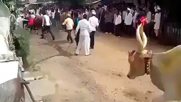 OMG!!! Bull's Horrifying Jump