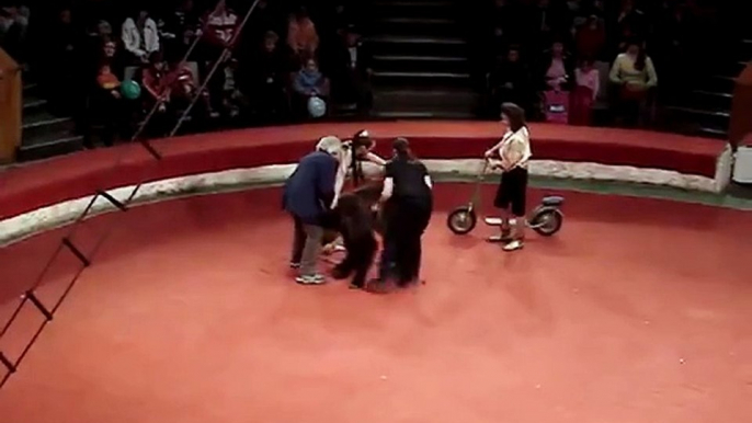 Circus Bear Attacks Handler, then Calms Down and Rides Scooter