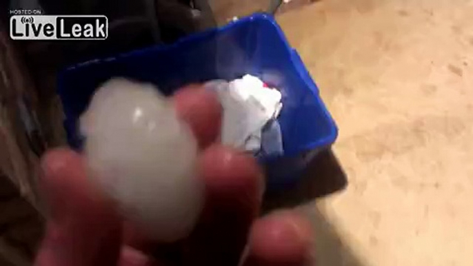 Hail Storm in Texas ping pong ball sized!