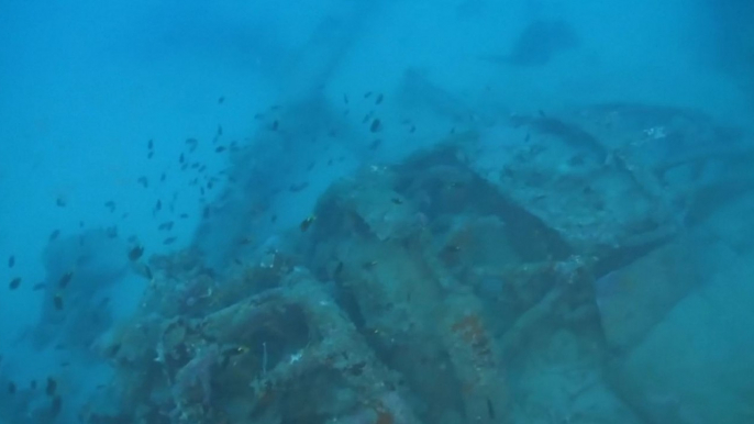 Un avion de la seconde guerre mondiale découvert dans les eaux australiennes