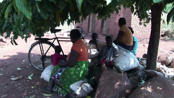 Villagers in Zimbabwe skip meals to save scant food