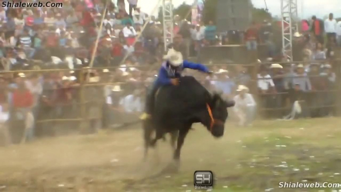 Jaripeo En El Ciruelo Oaxaca Y San Miguel Nocutzepo Michoacan Mexico Montas Espectaculares Toros Salvajes Y Valientes Jinetes Octubre 2015