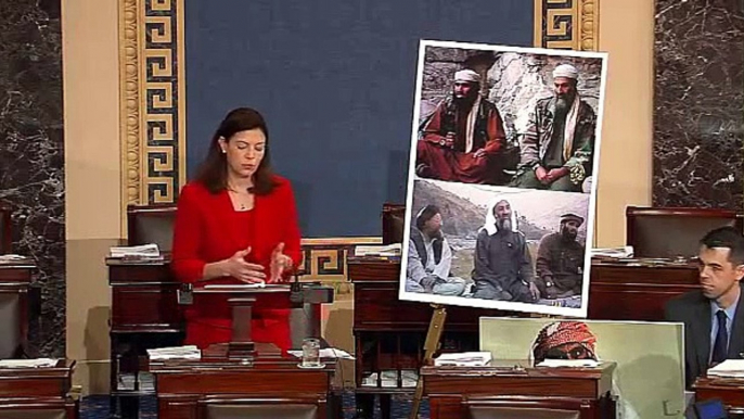 Senator contests choice to bring BIN LADEN son-in-law to US | Bin Laden son-in-law CAPTURED