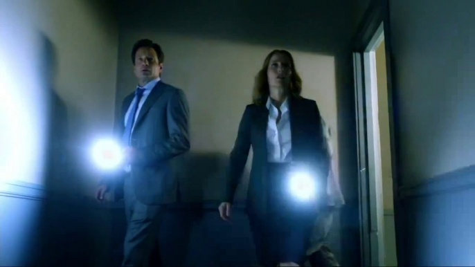 The X-Files "The Truth Is Still Out There" saison 10 (2 spots)