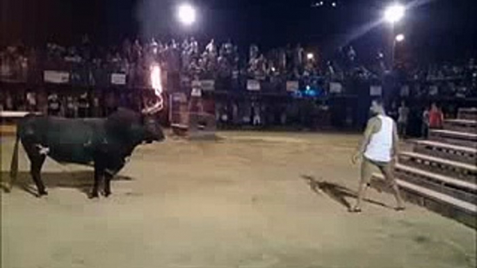 Funny Videos - Play with the bull is stupid