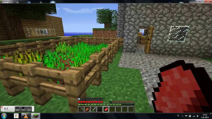 how to cook food/meat in minecraft