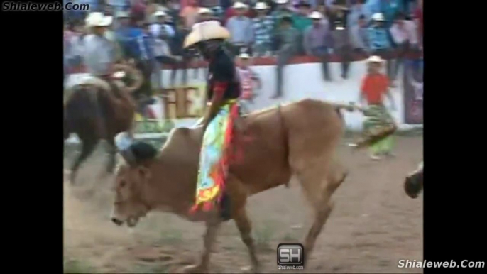 SUPER JARIPEO EXTREMO EN PORTEZUELO MEXICO PARTE TRES MONTAS INFANTILES Y TOROS FLACOS CONTRA JINETES A ESPUELA LIBRE OCTUBRE 2015