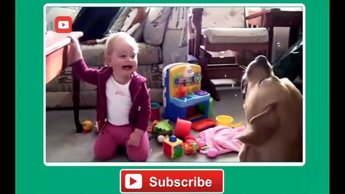 Babies Laughing at Funny Pets - Baby Laughing at Funniest Animals Compilation 2014