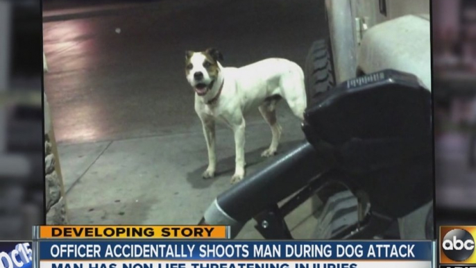 Officer accidently shoots man during Phoenix dog attack