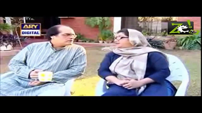 Bulbulay Episode 350- Bulbulay Drama - ARY DIGITAL Drama Bulbulay