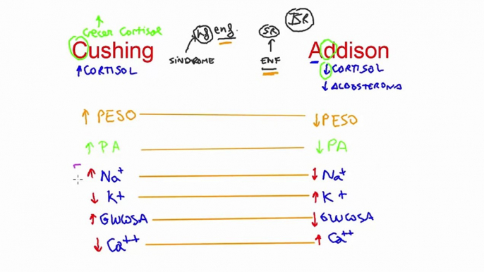 Síndrome de Cushing: memoriza la clínica | Mnemotecnia-clases de medicina