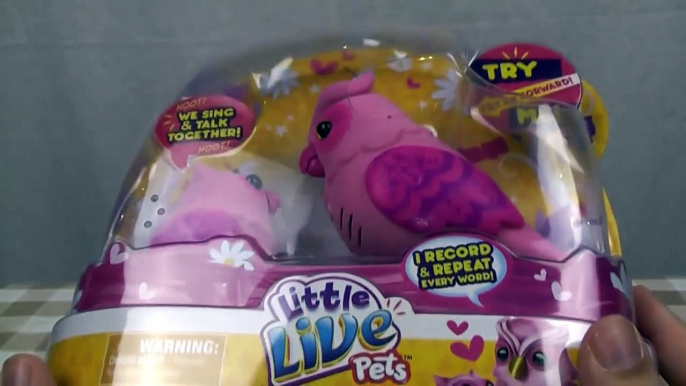 Little Live Pets Owl and Baby Toy Review tweet talking singing bird interactive toy