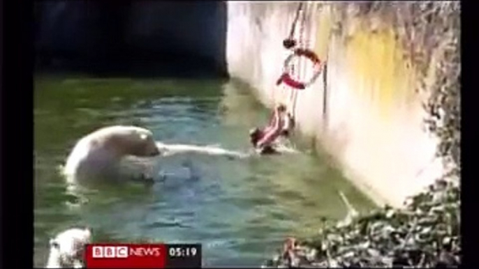 Woman attacked by Polar Bears at Berlin Zoo - Woman attacked by Polar Bears at Berlin Zoo - Polar