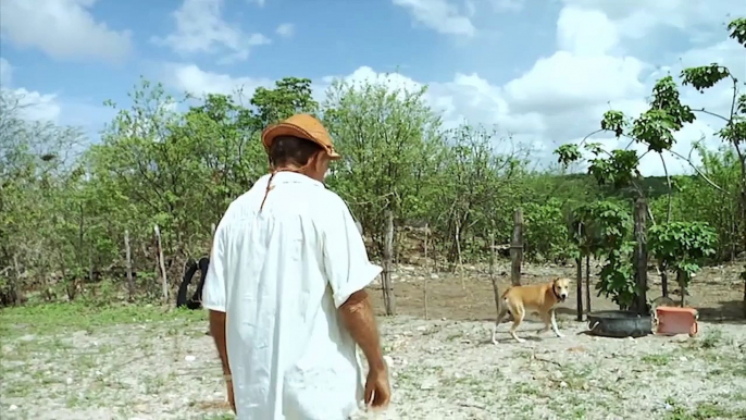 Trailer Da Serra ao Seridó - Vivências em um Brasil de Contrastes