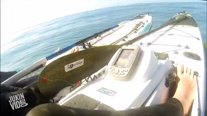 Kayakers Encounter Curious Shark  Close Encounters