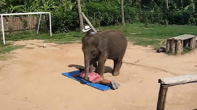 Elephant in ZSL London Zoo Doing Massage