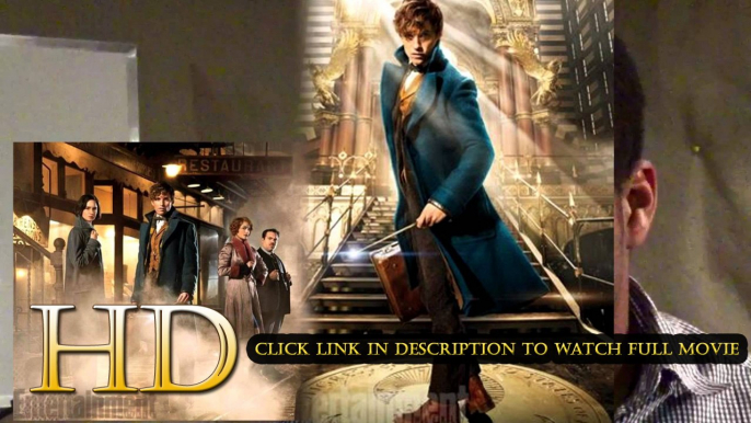 Fantastic Beasts and Where to Find Them 2016 ver online pelicula español #Fantastic Beasts and Where to Find Them 2016 ver pelicula latino online