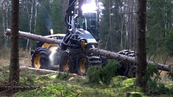 Un engin qui coupe des troncs d'arbres comme on coupe du papier - EcoLog 590D med Kesla 28RH