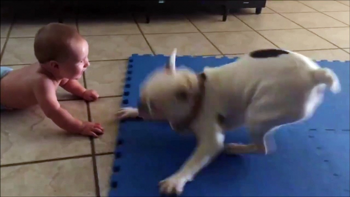 Rien de tel qu'un chien pour divertir un bébé... Trop mignon