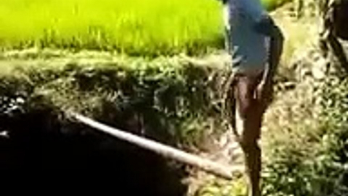 Funny Accident in Kerala India    Funny Indian WhatsApp Videos Compilation