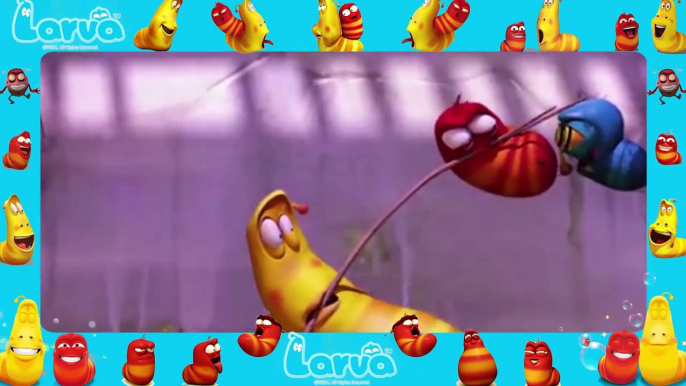 Larva funny cartoon [ Larva New Full Episodes 34 ] larva 2015 | lover lavar