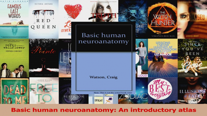 Read  Basic human neuroanatomy An introductory atlas Ebook Free