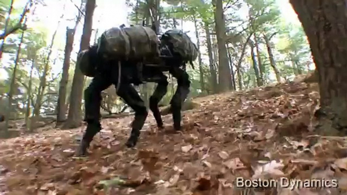 Re: Boston Dynamics Big Dog (new video March 2008)