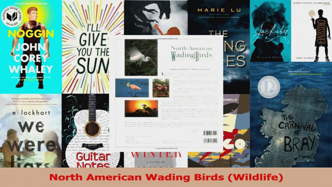 PDF Download  North American Wading Birds Wildlife Read Full Ebook